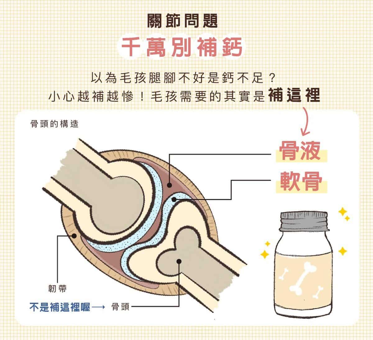 狗狗關節不好要補鈣?4件事主人一定要知道! 2 狗狗關節不好要補鈣?4件事主人一定要知道!