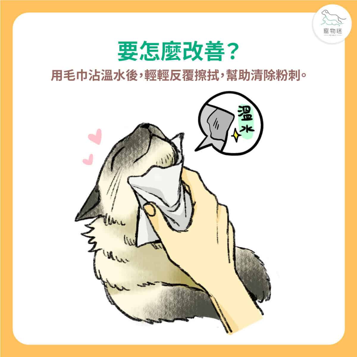 貓咪下巴長黑點？5招改善常見貓粉刺問題！