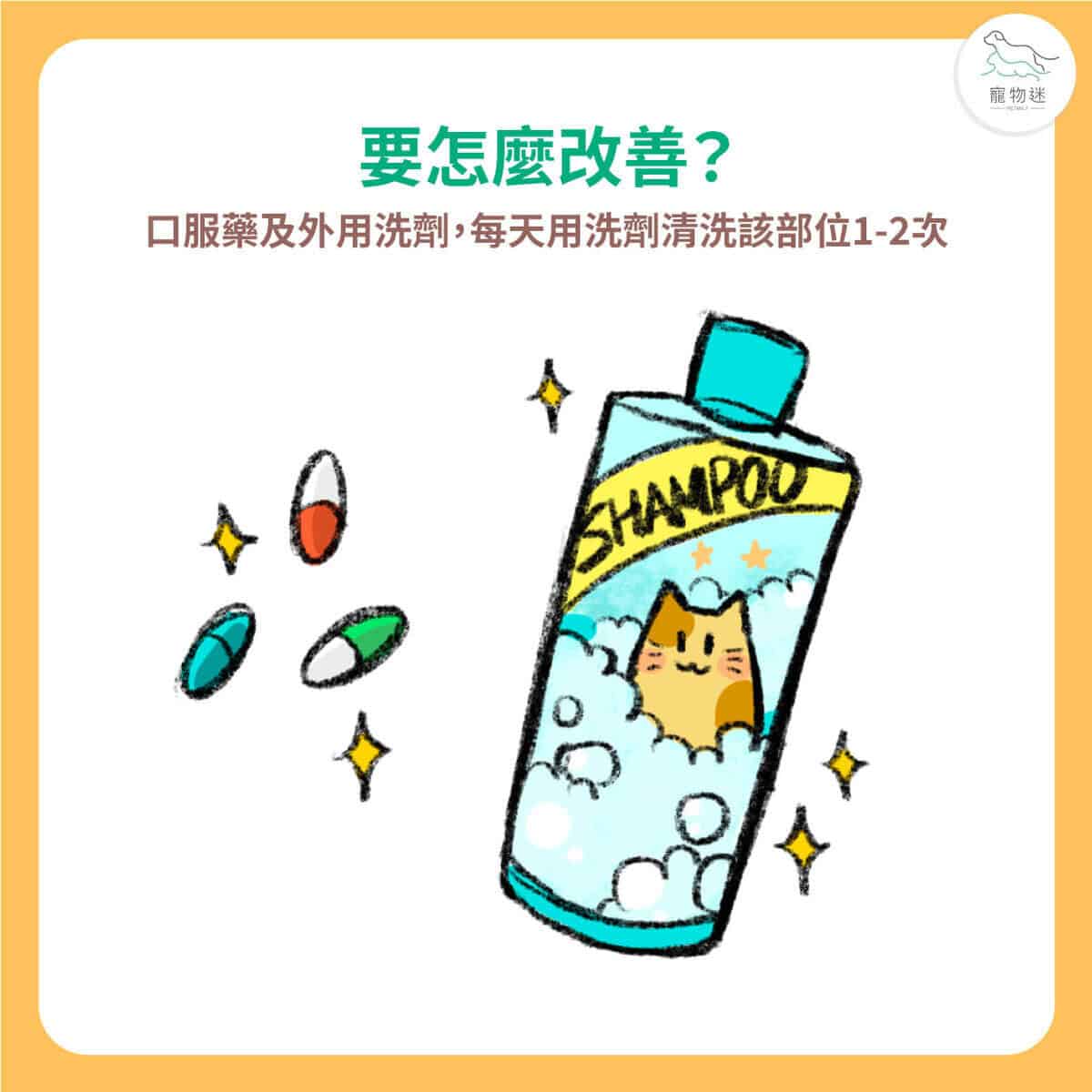 貓咪下巴長黑點？5招改善常見貓粉刺問題！
