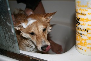20140703-健康- 生活不「毒」取 健康又HAPPY(2)