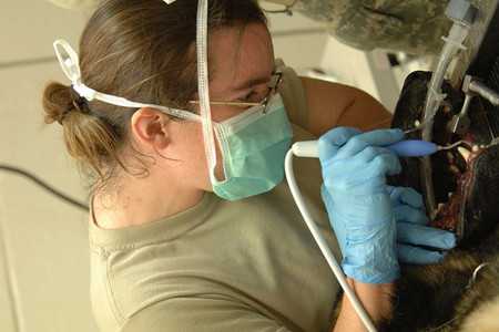 Common Dental Problems-3