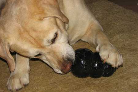 Dealing with Separation Anxiety-3