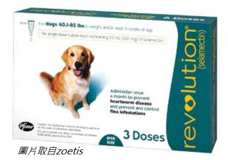 Ear Mites-3