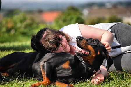 doberman-2