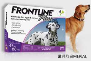 kill flea & tick-2