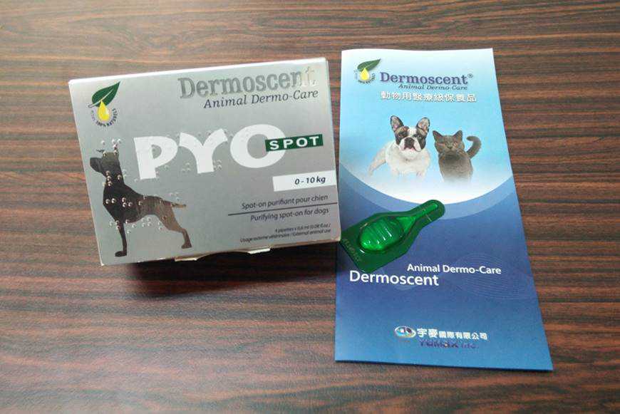 狗狗皮膚保養新選擇:4大亮點解析PYOspot派歐點滴劑使用心得! 4 Dermoscent-5