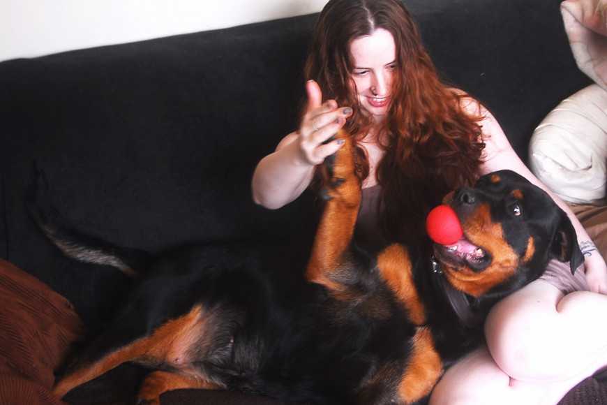 不是惡犬！5個理由愛上羅威那犬：勇敢又深情的大型犬代表