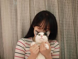 從《50公分的世界：進入我生命的腦麻小貓》重新看愛與陪伴