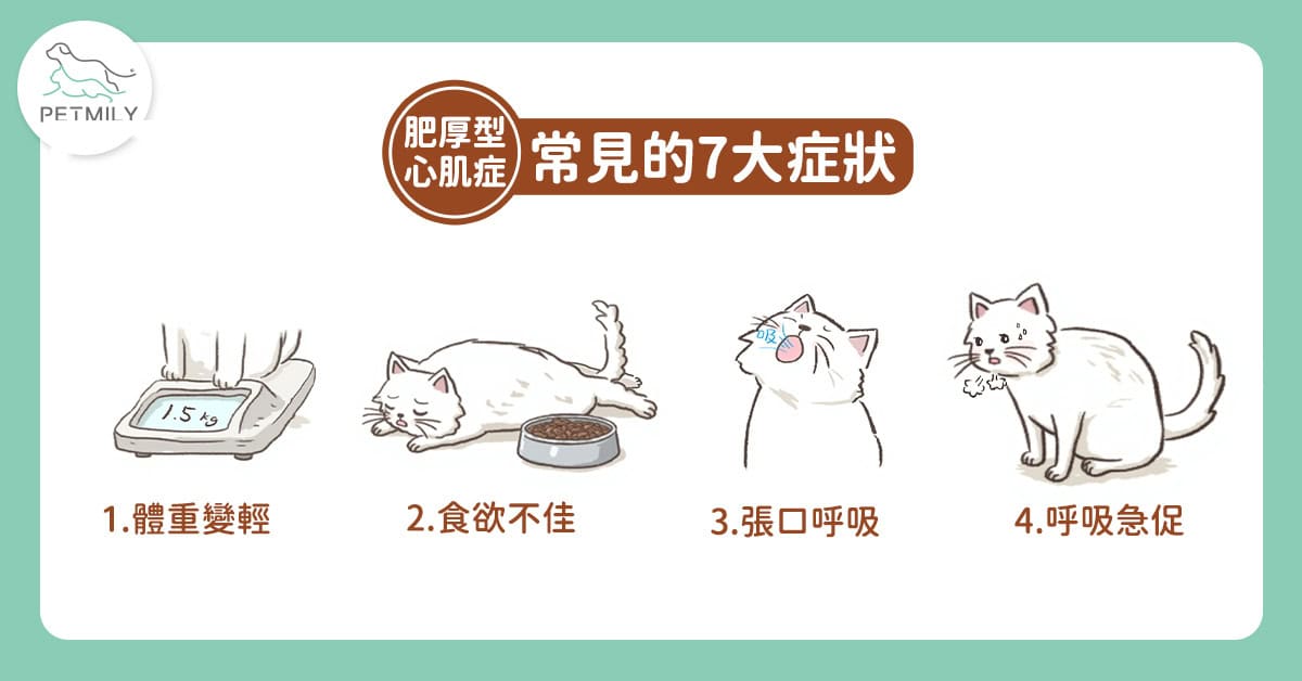 貓肥厚型心肌症是什麼?認識7大警訊與心臟保健營養素Q10輔酶 1 貓肥厚型心肌症是什麼?認識7大警訊與心臟保健營養素Q10輔酶