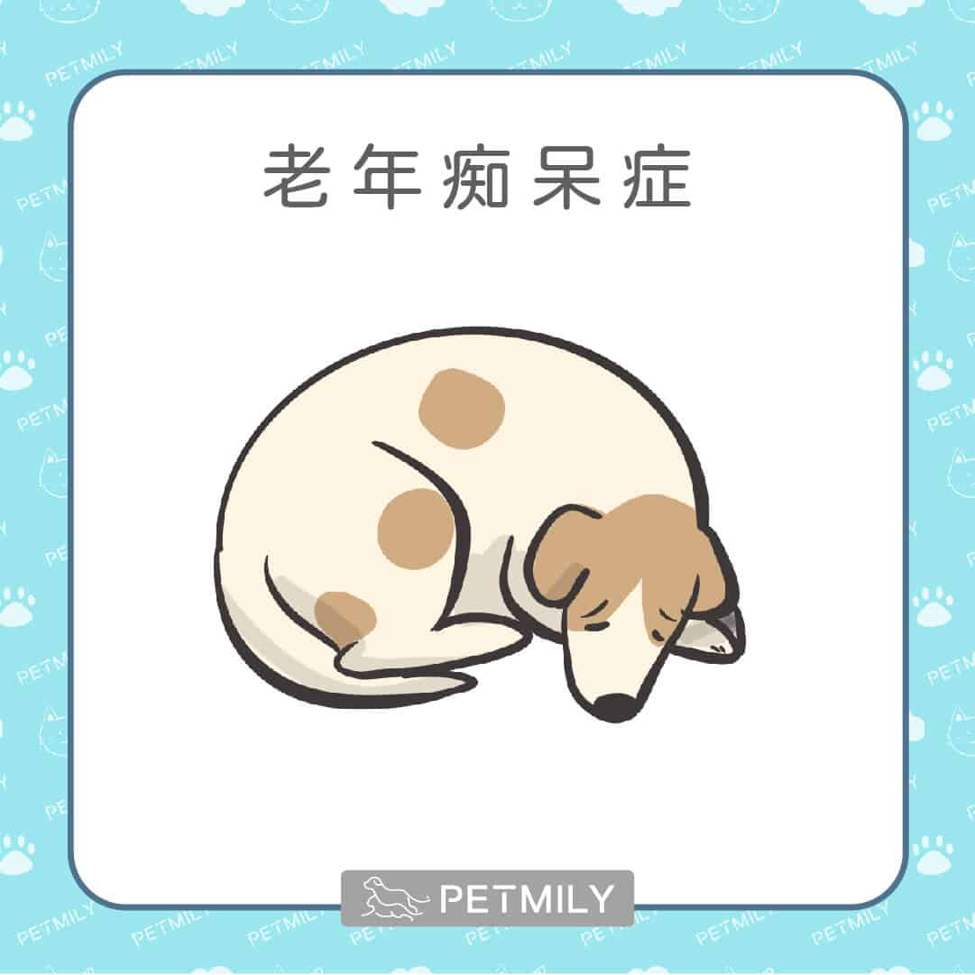 9大老狗疾病，狗爸媽請注意！