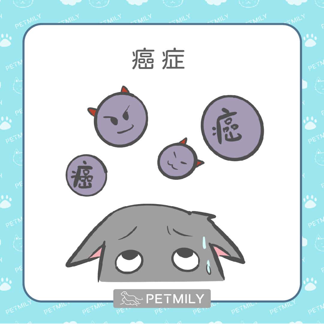 9大老狗疾病，狗爸媽請注意！