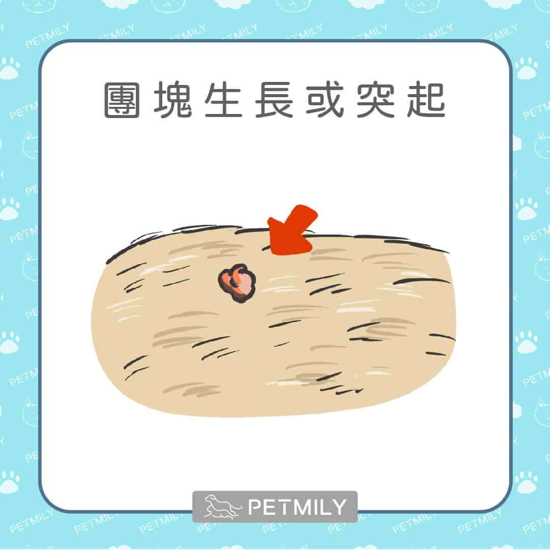 9大老狗疾病，狗爸媽請注意！