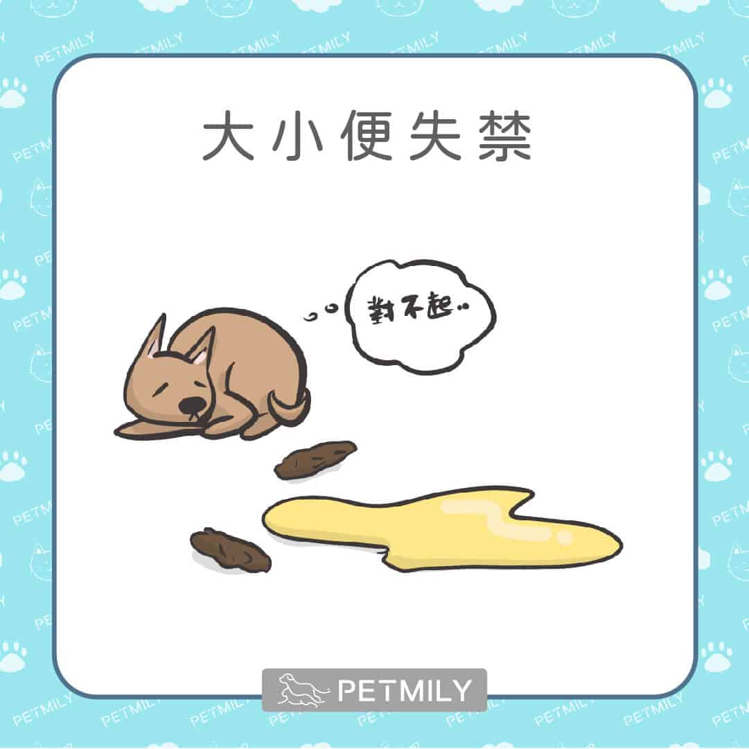 9大老狗疾病，狗爸媽請注意！