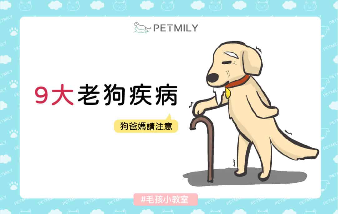 9大老狗疾病，狗爸媽請注意！