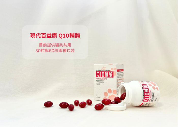 貓肥厚型心肌症是什麼?認識7大警訊與心臟保健營養素Q10輔酶 3 貓肥厚型心肌症是什麼?認識7大警訊與心臟保健營養素Q10輔酶
