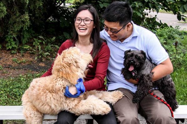 7 Things You Should NEVER Do to Your Dog-1