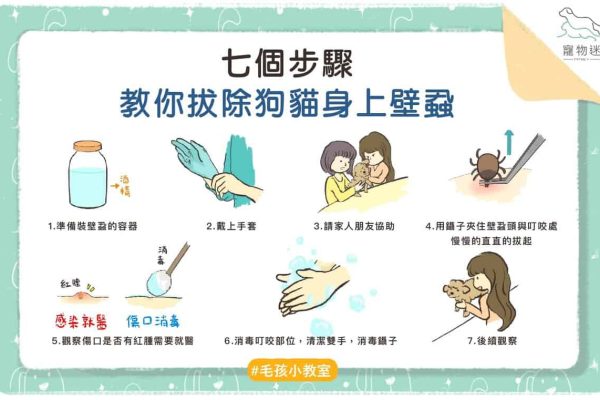 壁蝨-01