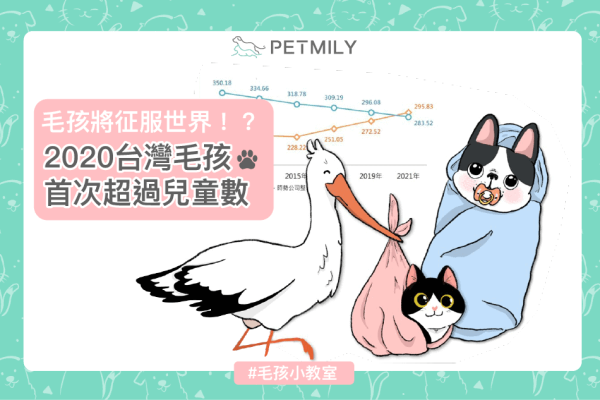 毛孩黃金交叉2