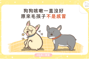 狗心臟病徵兆-02