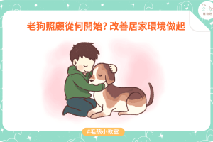 老狗照護_01
