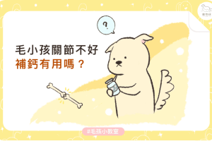 補鈣-02