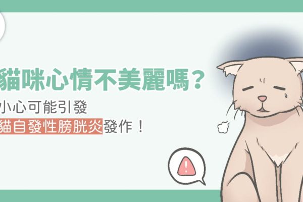 貓咪心情不美麗嗎-1