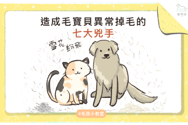 貓狗掉毛原因-03