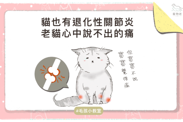 貓關節炎-01-1