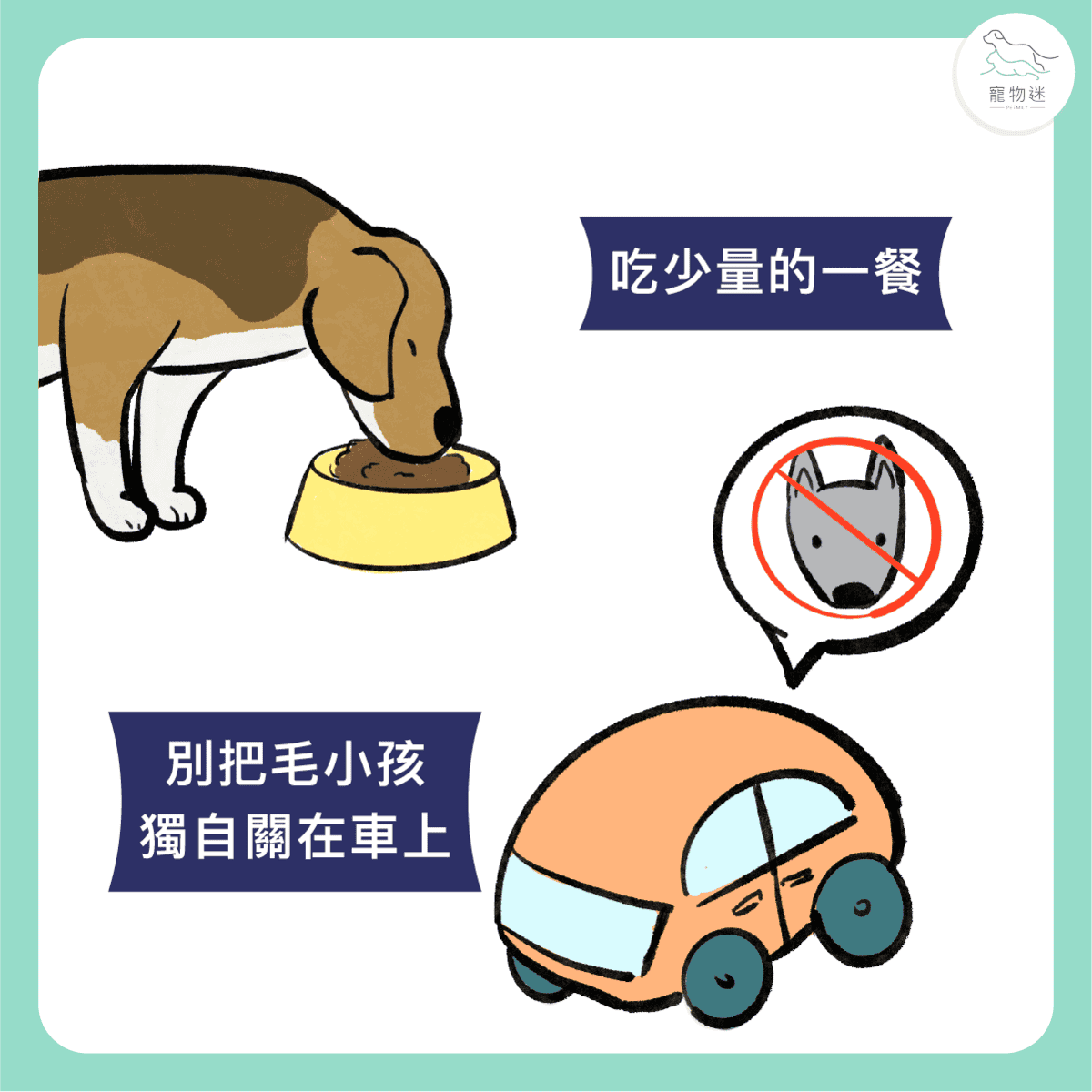 開車載狗，出遊要準備的10件事！