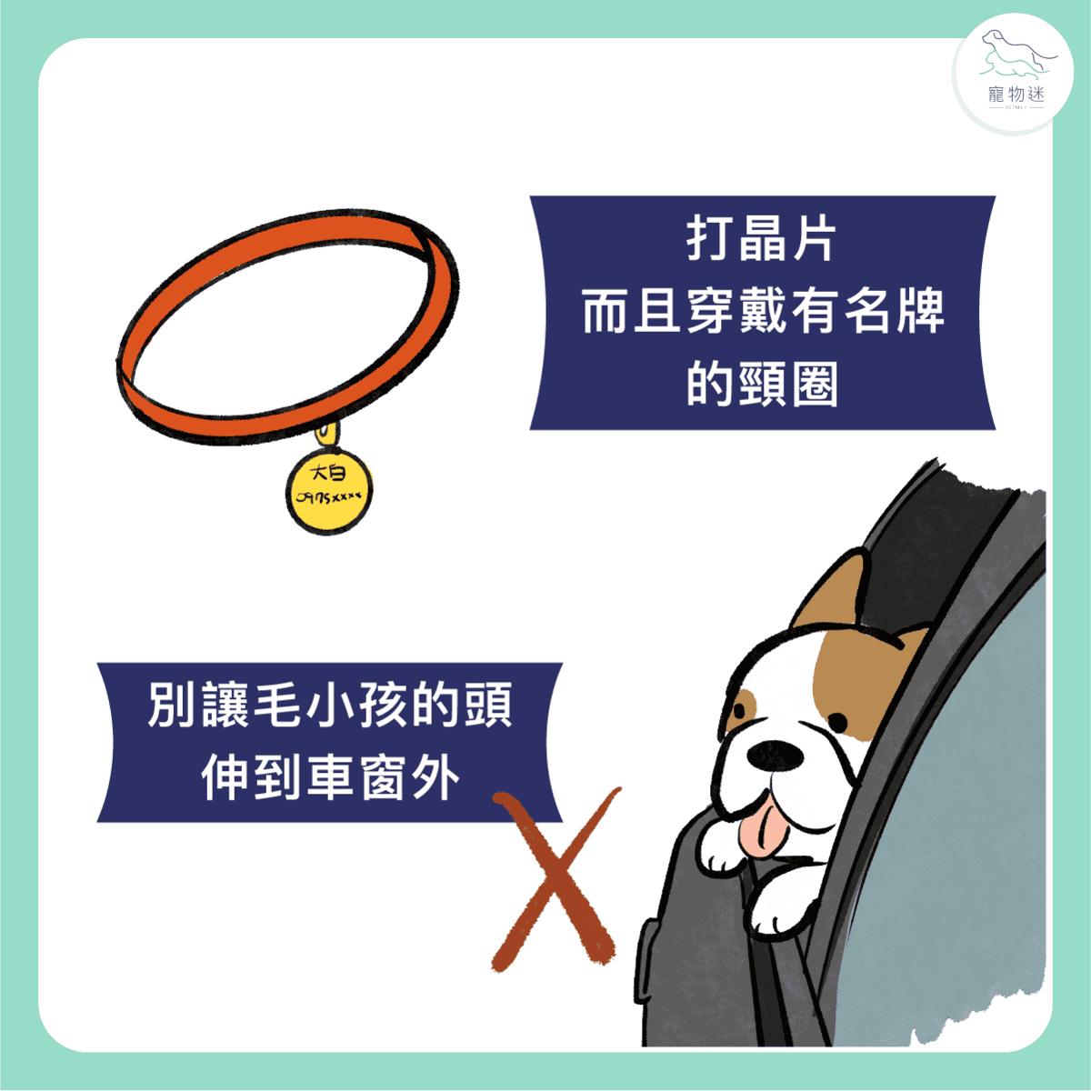 開車載狗，出遊要準備的10件事！