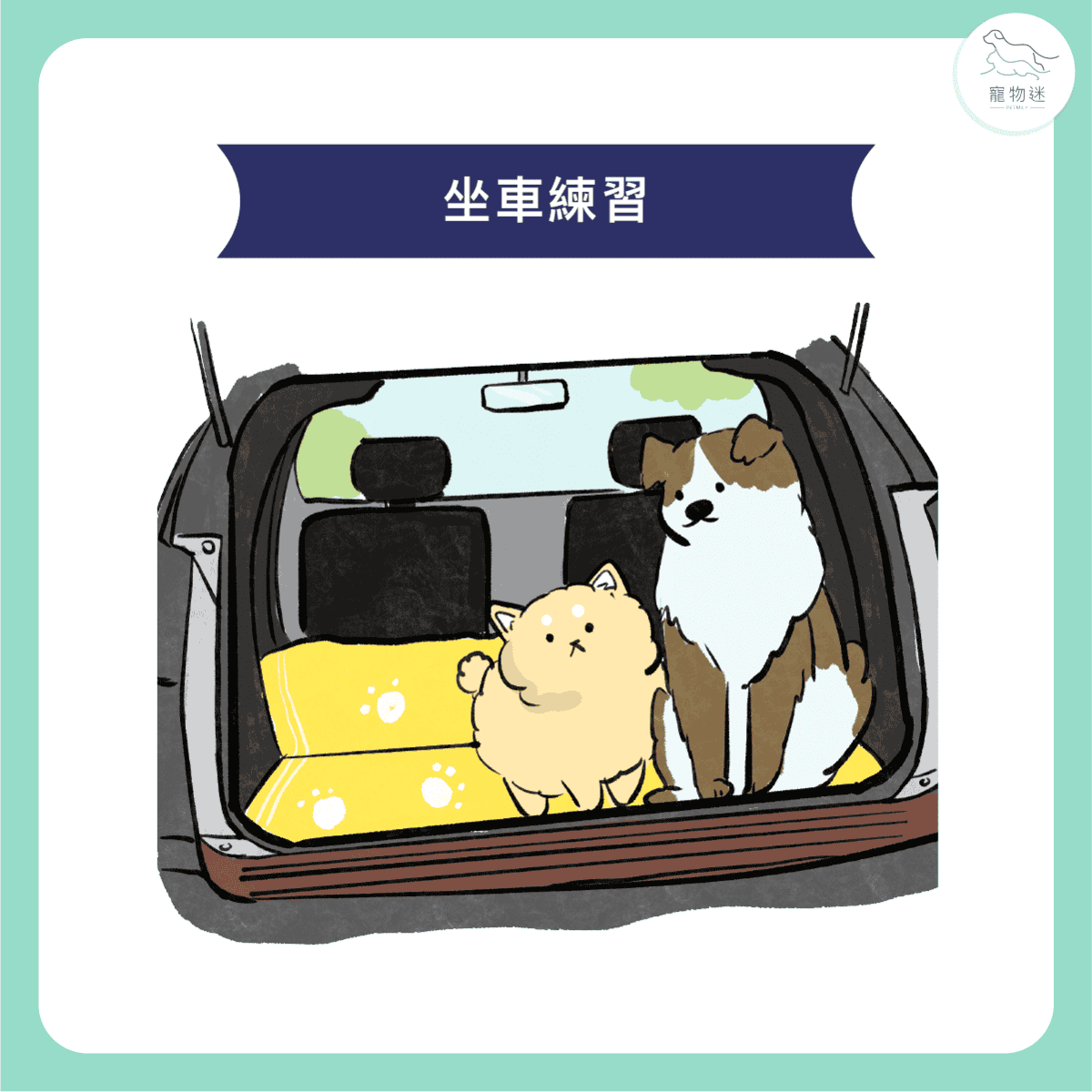 開車載狗，出遊要準備的10件事！