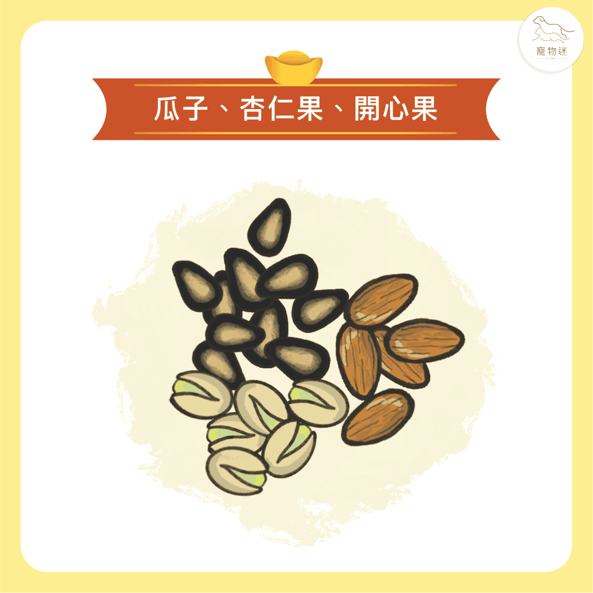 毛孩子過年不能吃的六大類年節食品！