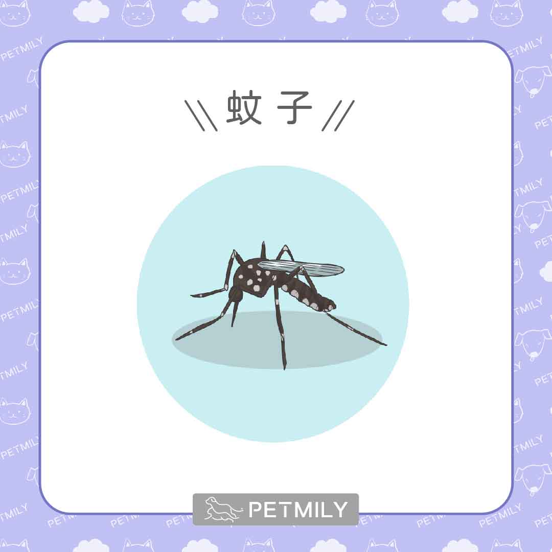 狗狗被蟲咬了怎麼辦，7種常見蟲蟲危機與對應處理！