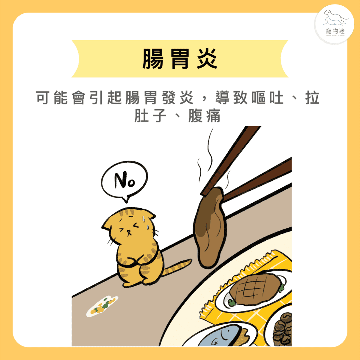 寵物過年吃太好？小心毛小孩得胃腸炎