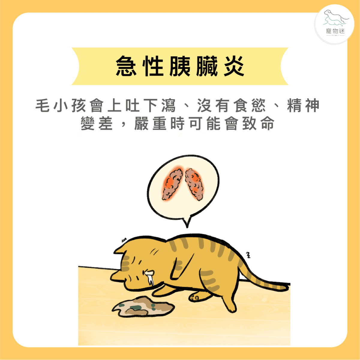 寵物過年吃太好？小心毛小孩得胃腸炎