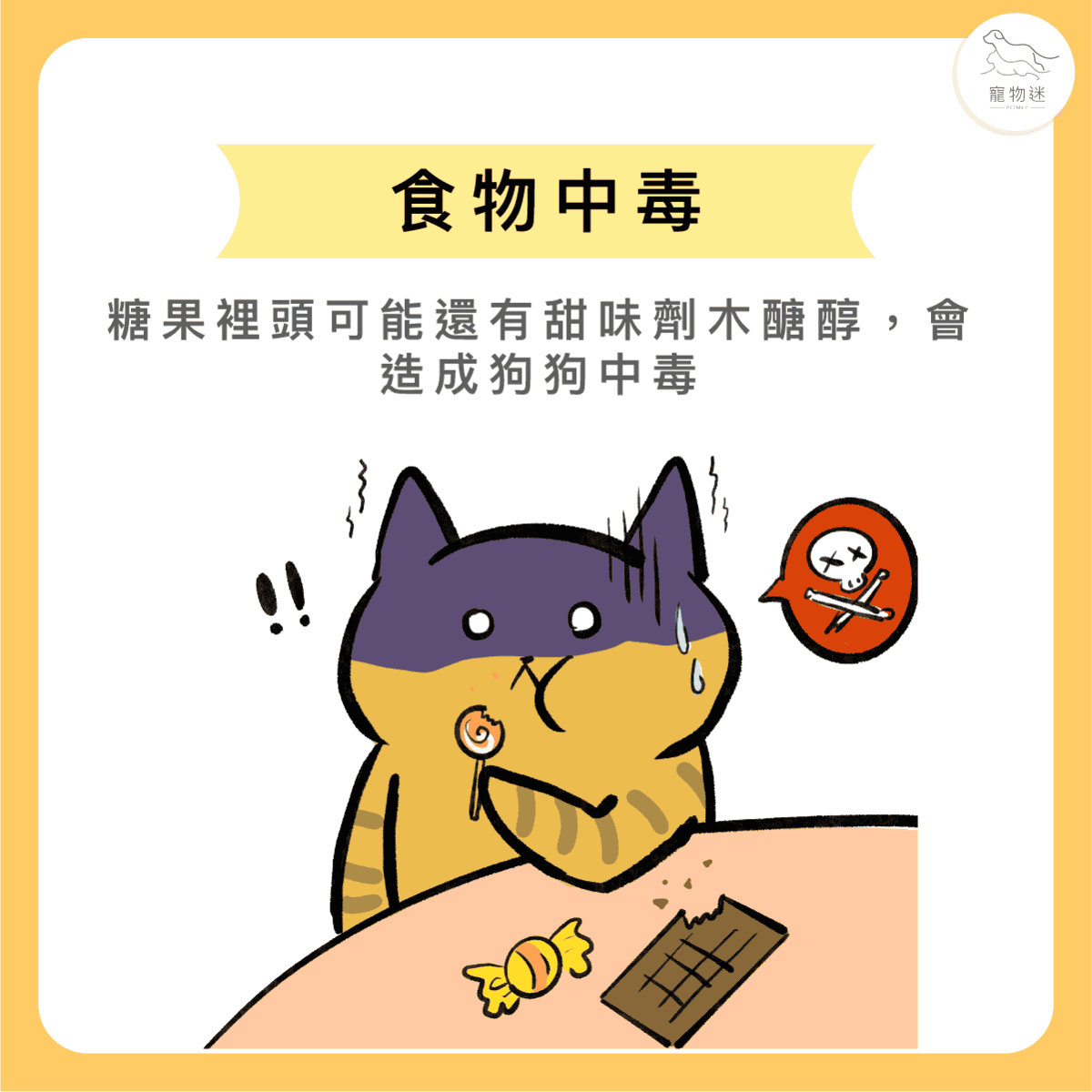 寵物過年吃太好？小心毛小孩得胃腸炎