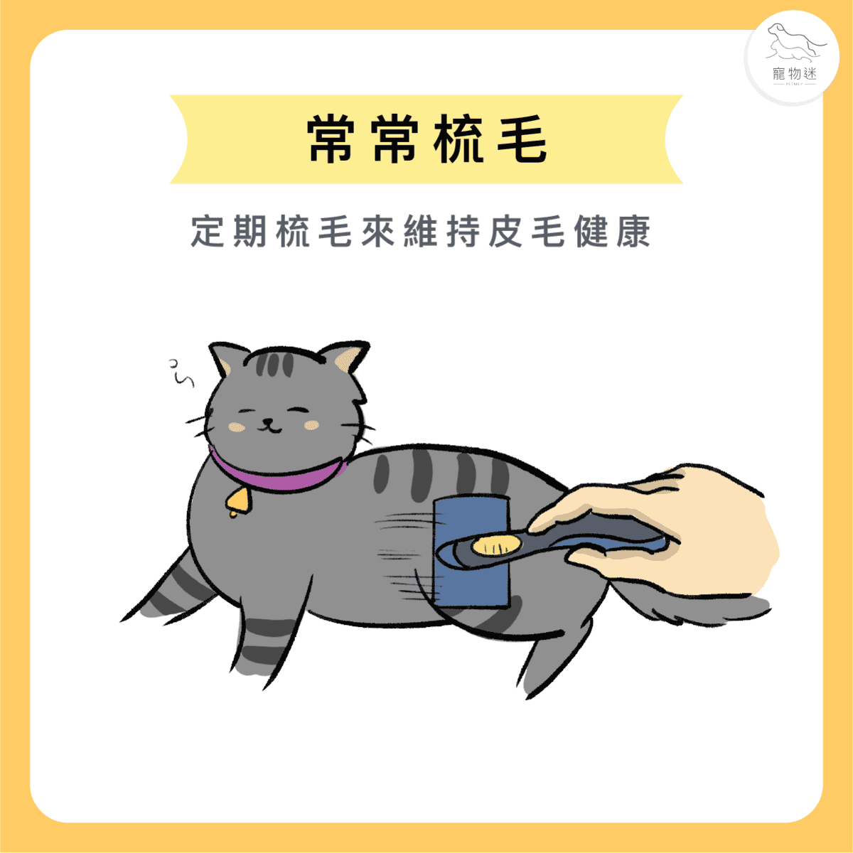 換毛季到了！三招解決毛害問題