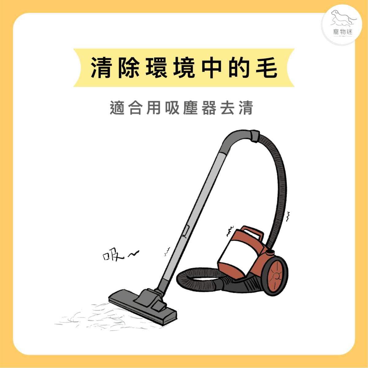 換毛季到了！三招解決毛害問題