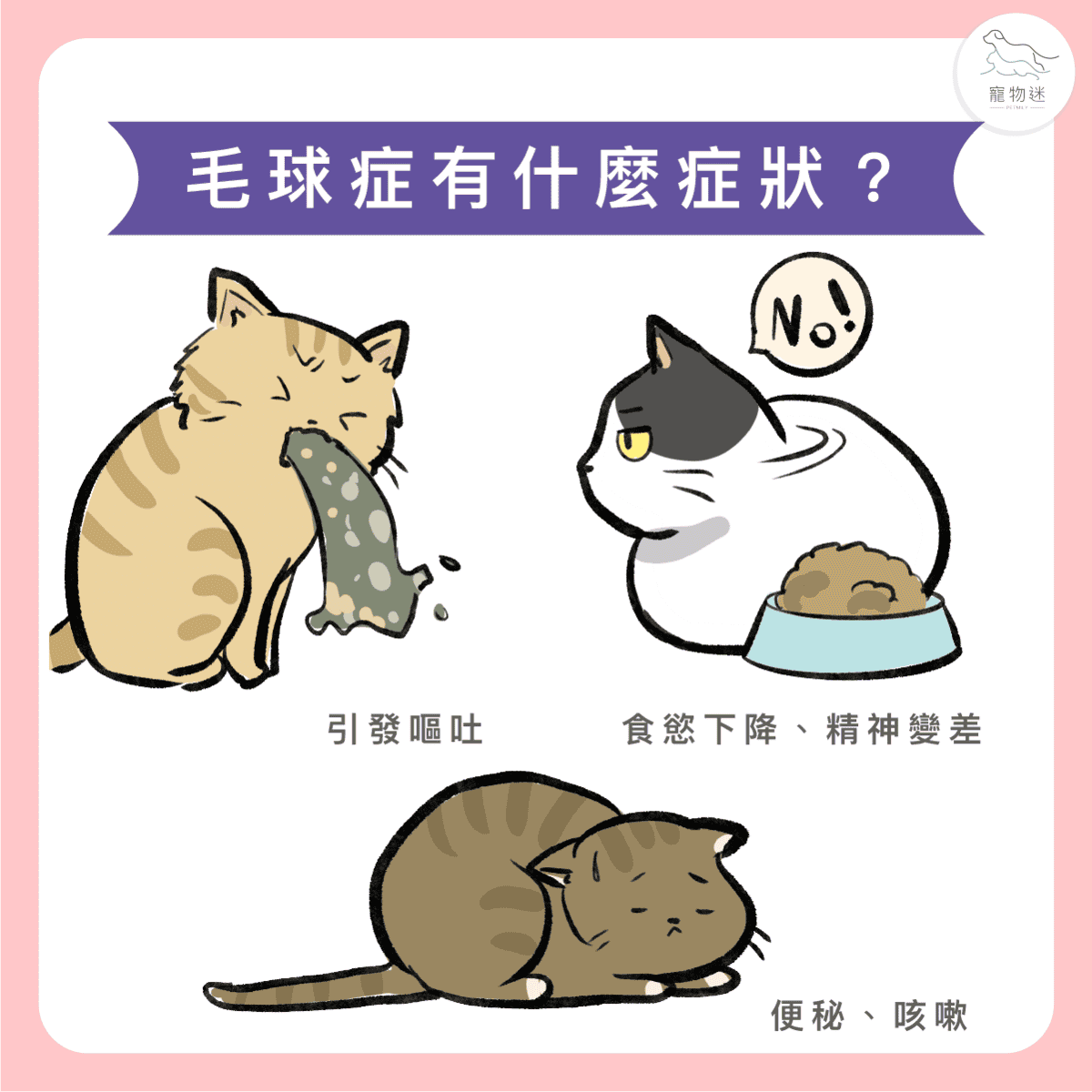 貓咪毛球問題怎麼預防？3招幫助喵星人維持消化順暢與健康！