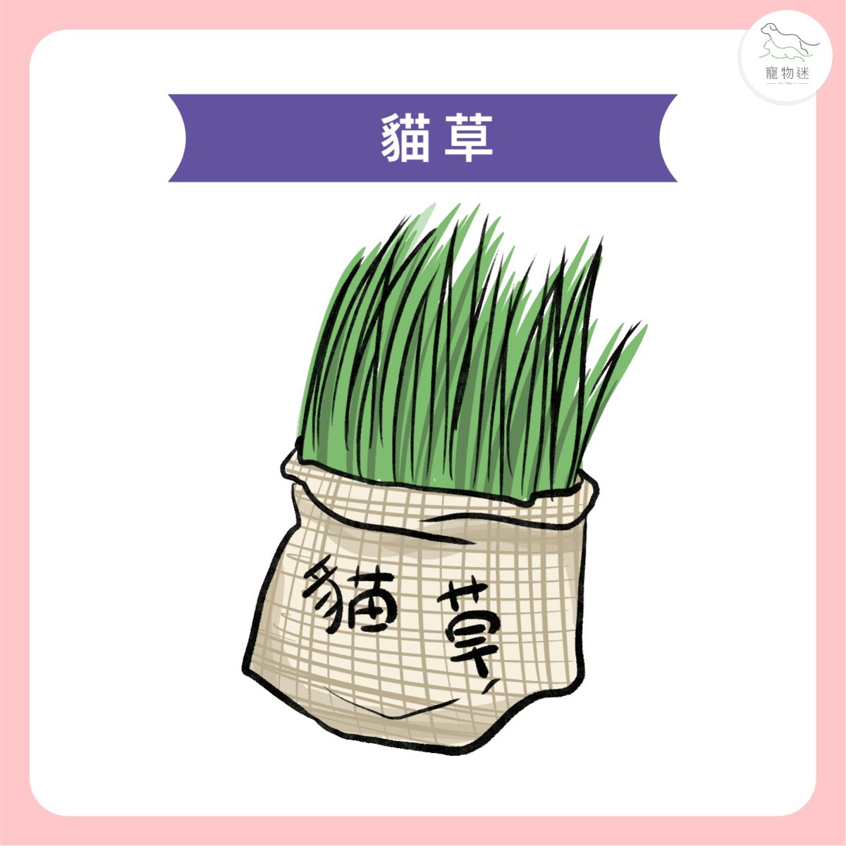 貓咪毛球問題怎麼預防？3招幫助喵星人維持消化順暢與健康！