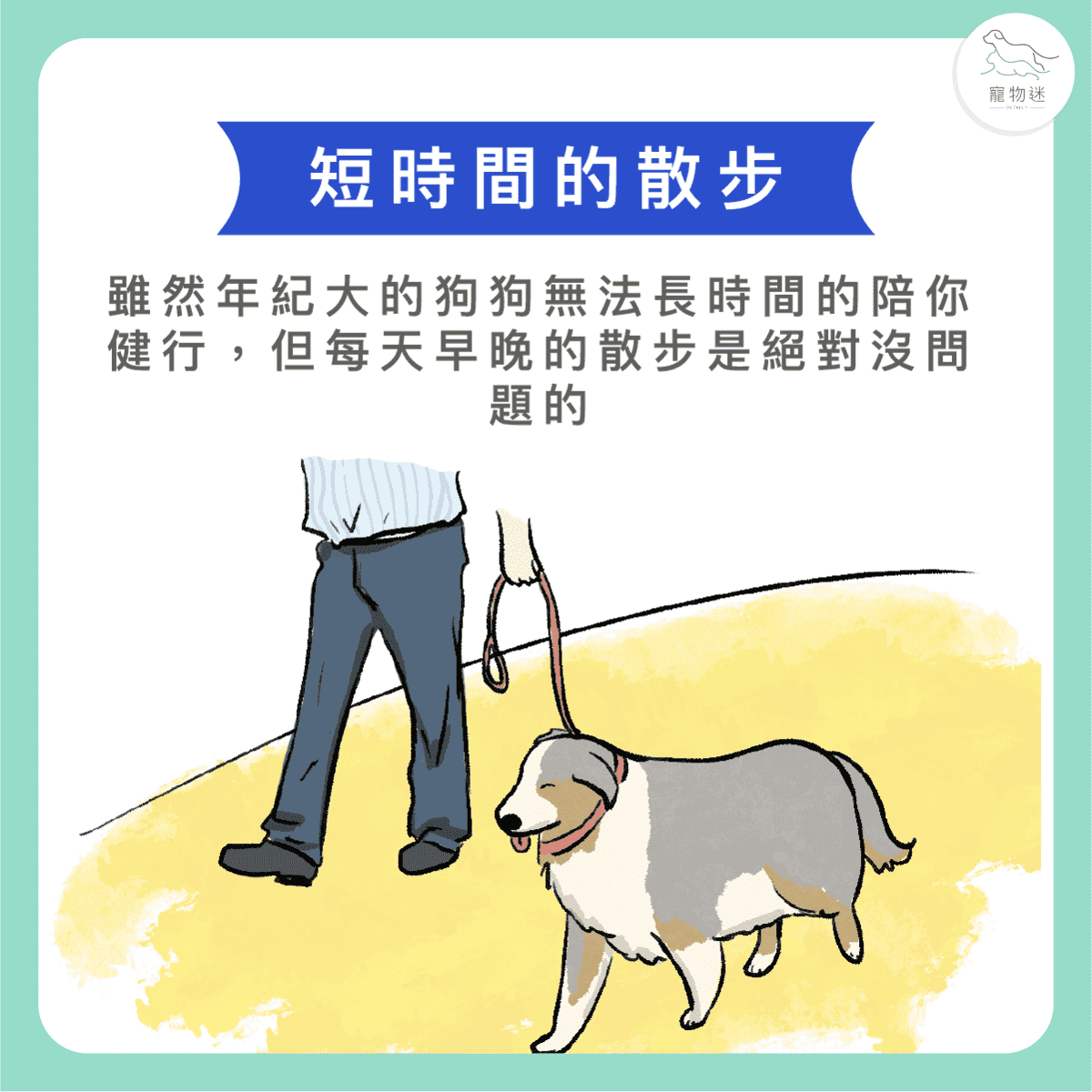 活到老動到老，3種運動幫助老狗運動！