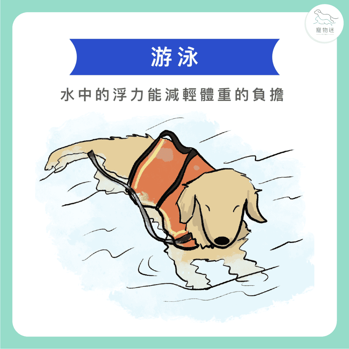 活到老動到老，3種運動幫助老狗運動！