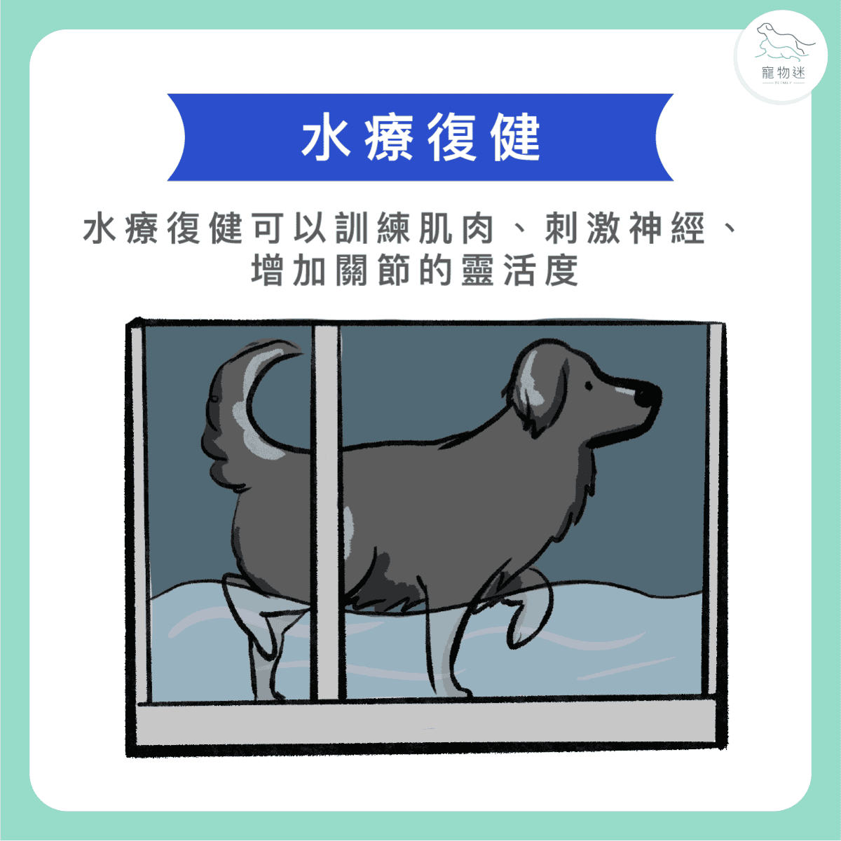 活到老動到老，3種運動幫助老狗運動！