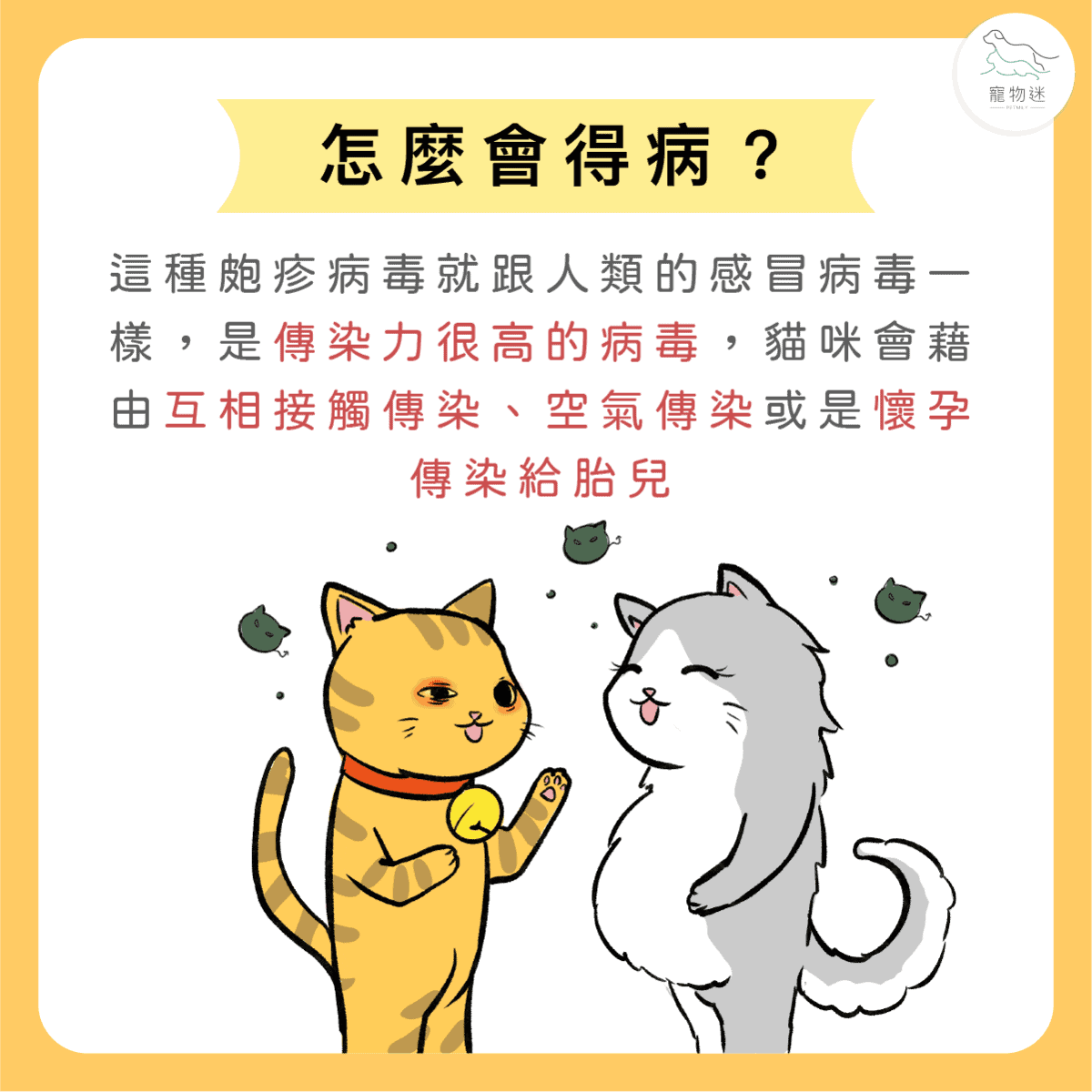 喵喵不是愛哭，卻滿臉鼻涕和眼淚… 貓疱疹病毒感染