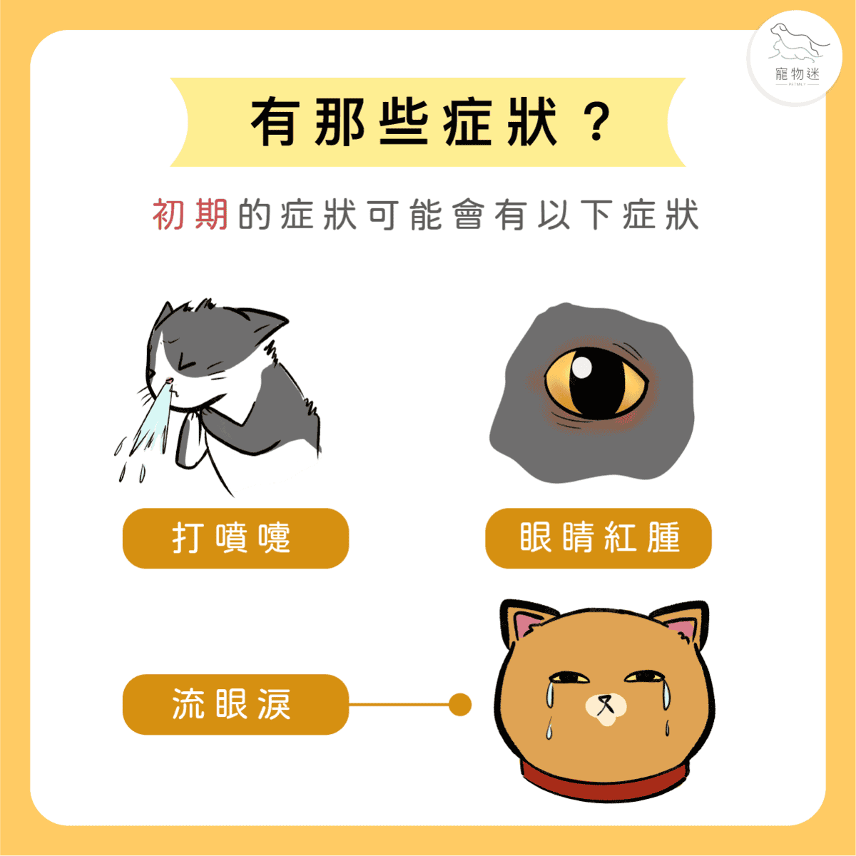 喵喵不是愛哭，卻滿臉鼻涕和眼淚… 貓疱疹病毒感染