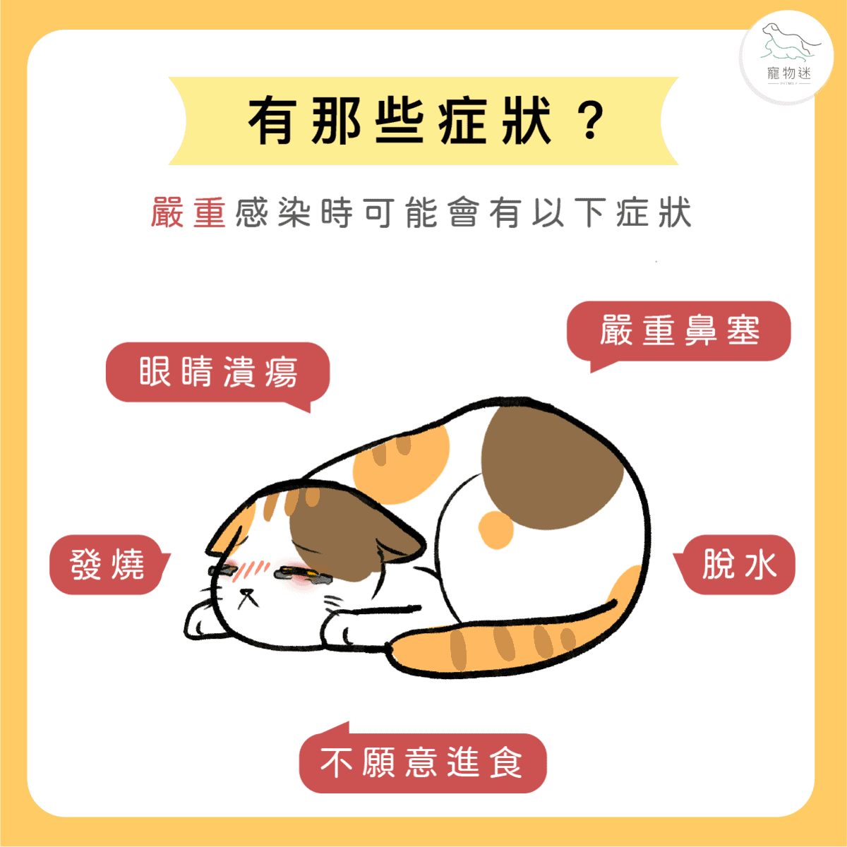 喵喵不是愛哭，卻滿臉鼻涕和眼淚… 貓疱疹病毒感染