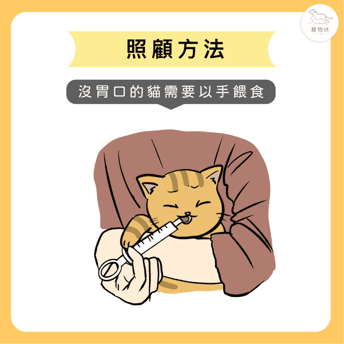 喵喵不是愛哭，卻滿臉鼻涕和眼淚… 貓疱疹病毒感染
