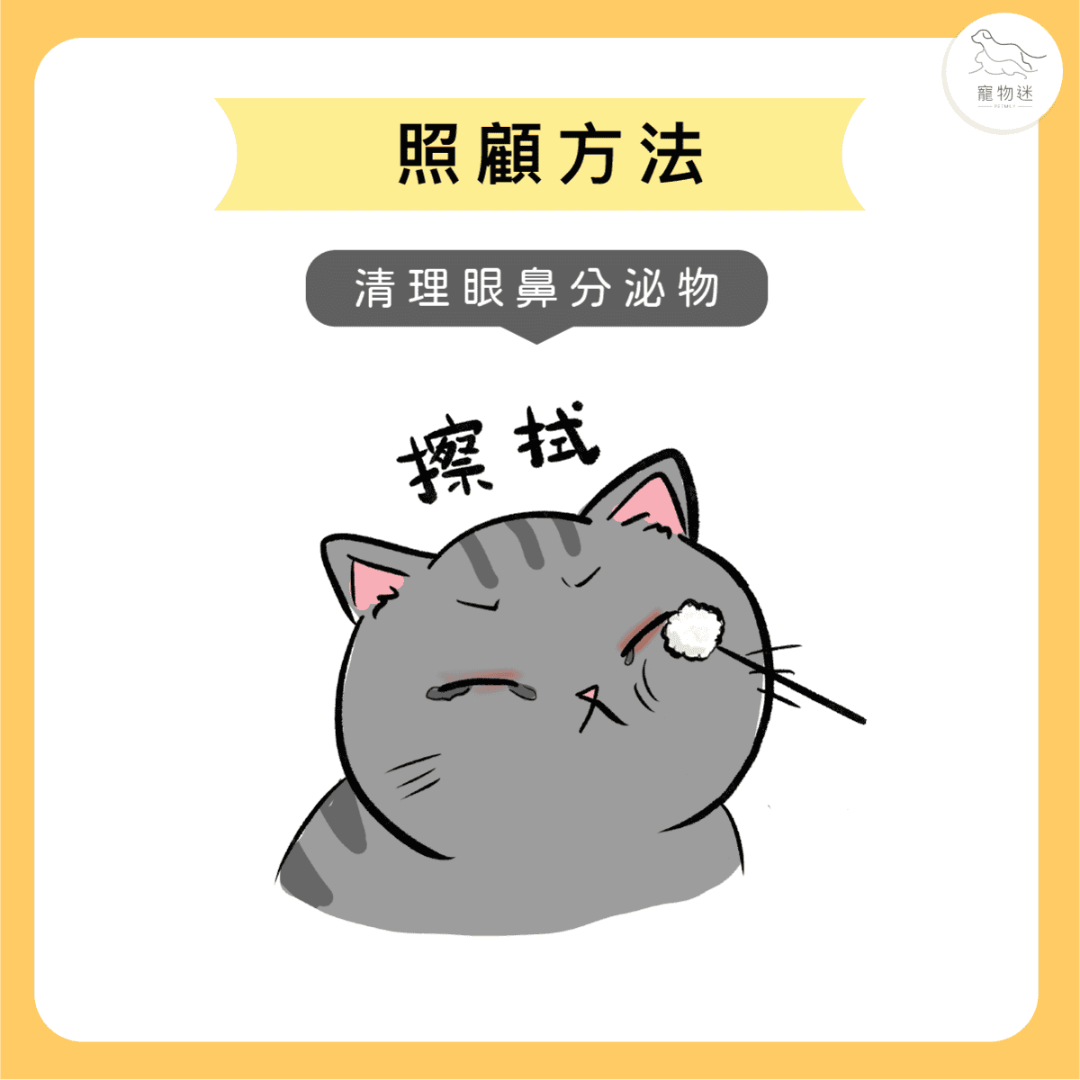 喵喵不是愛哭，卻滿臉鼻涕和眼淚… 貓疱疹病毒感染
