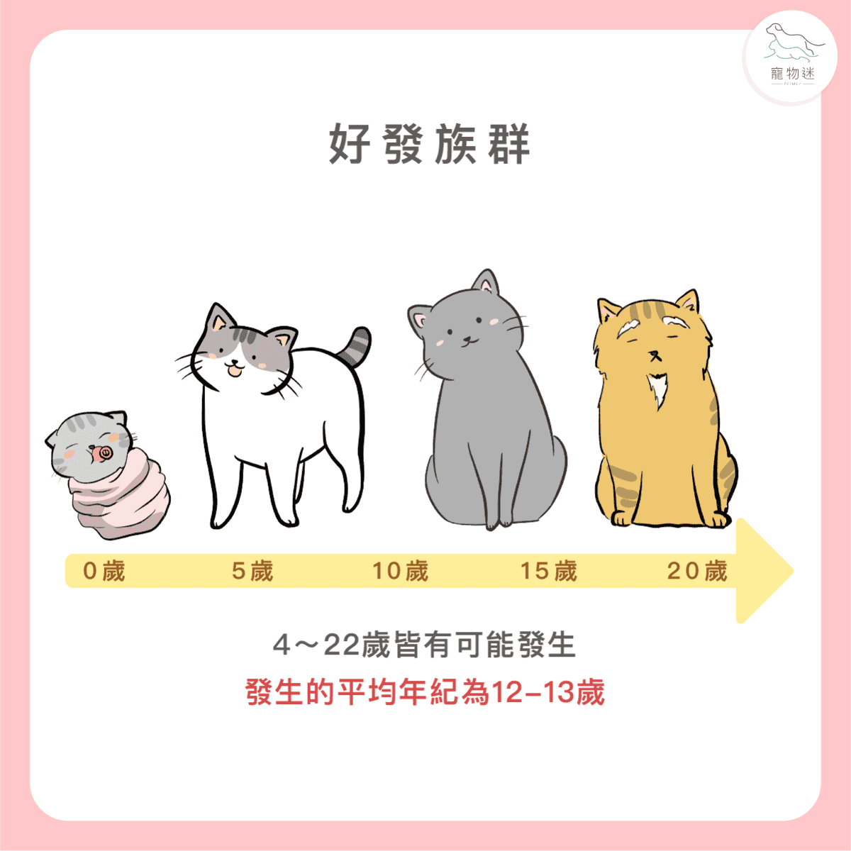 貓甲狀腺機能亢進7大症狀與3種照護方式，老貓飼主一定要知道！