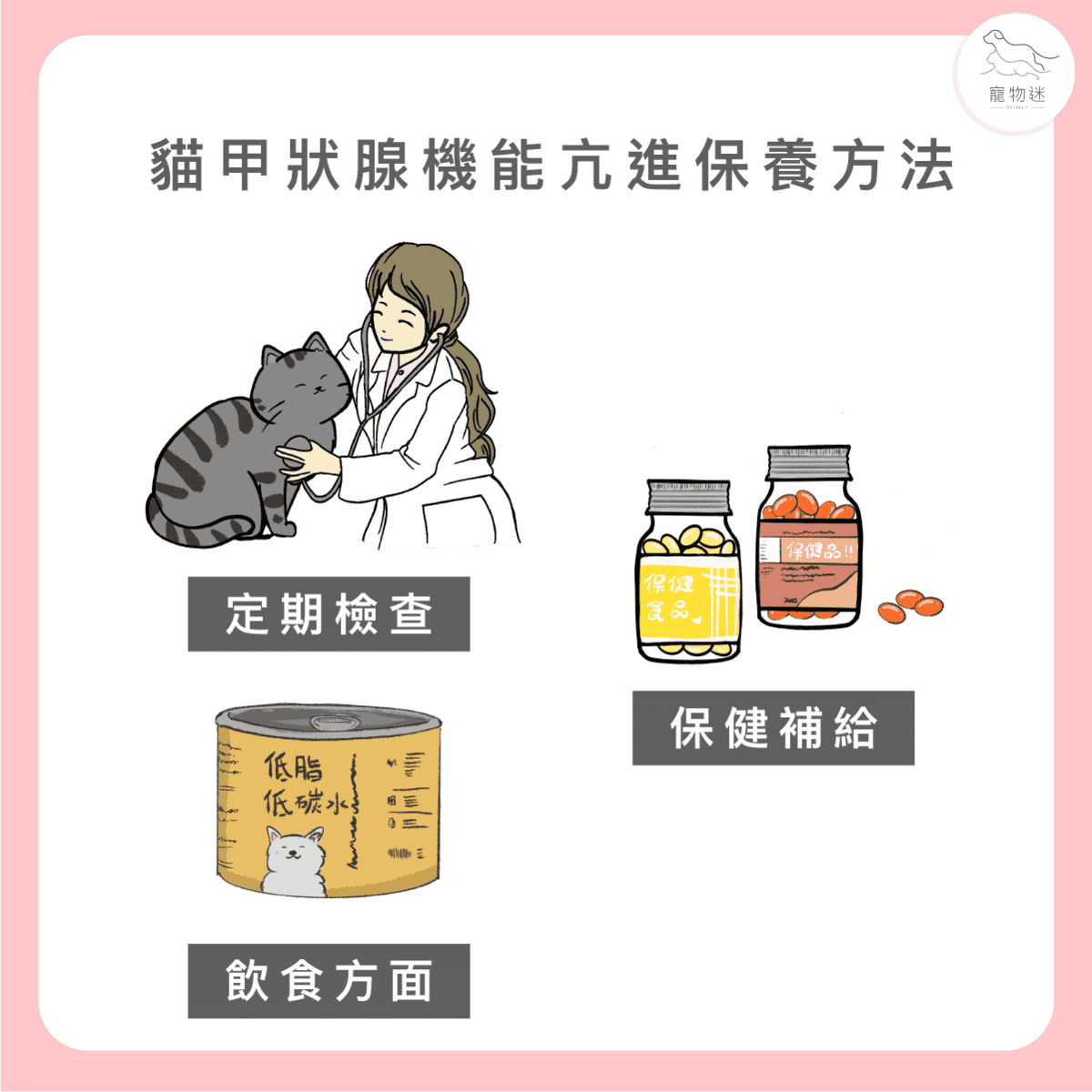 貓甲狀腺機能亢進7大症狀與3種照護方式，老貓飼主一定要知道！